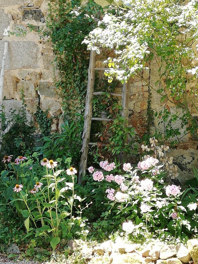 Chambre d'hôte équestre Au petit bonheur Chateldon Exterior foto