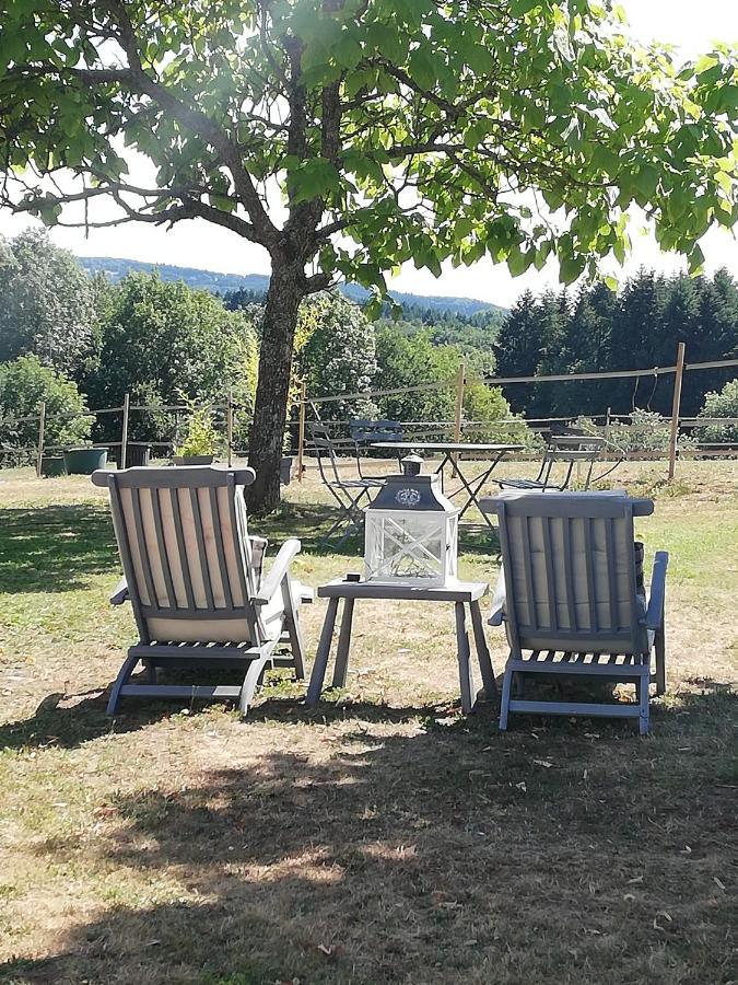 Chambre d'hôte équestre Au petit bonheur Chateldon Exterior foto