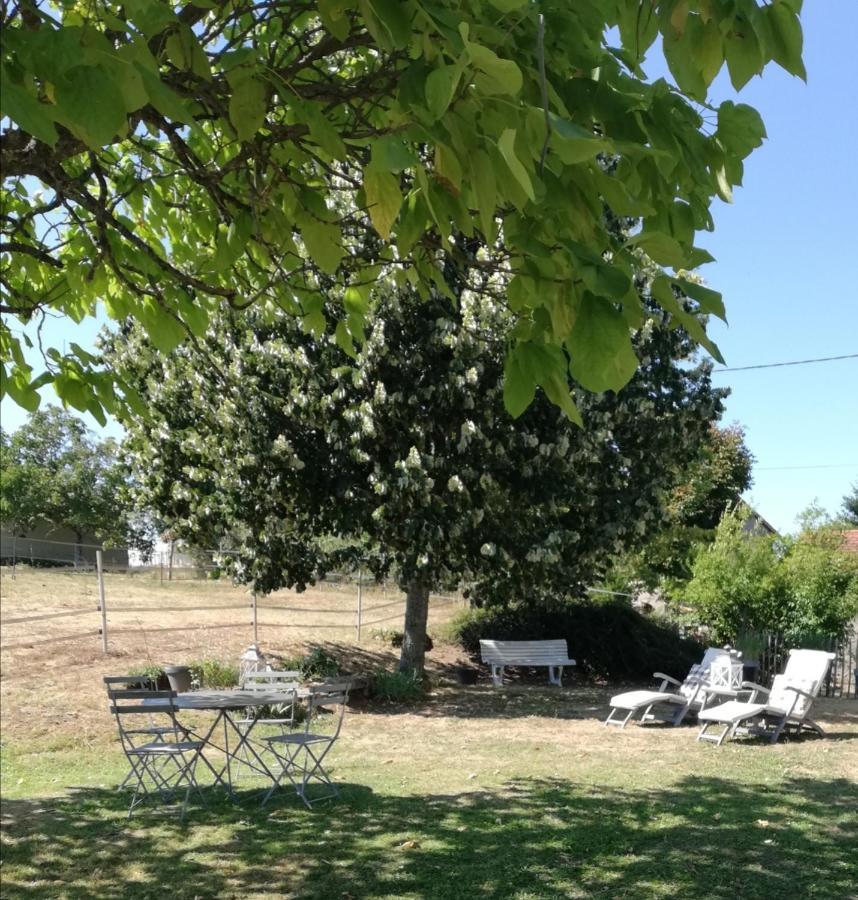 Chambre d'hôte équestre Au petit bonheur Chateldon Exterior foto