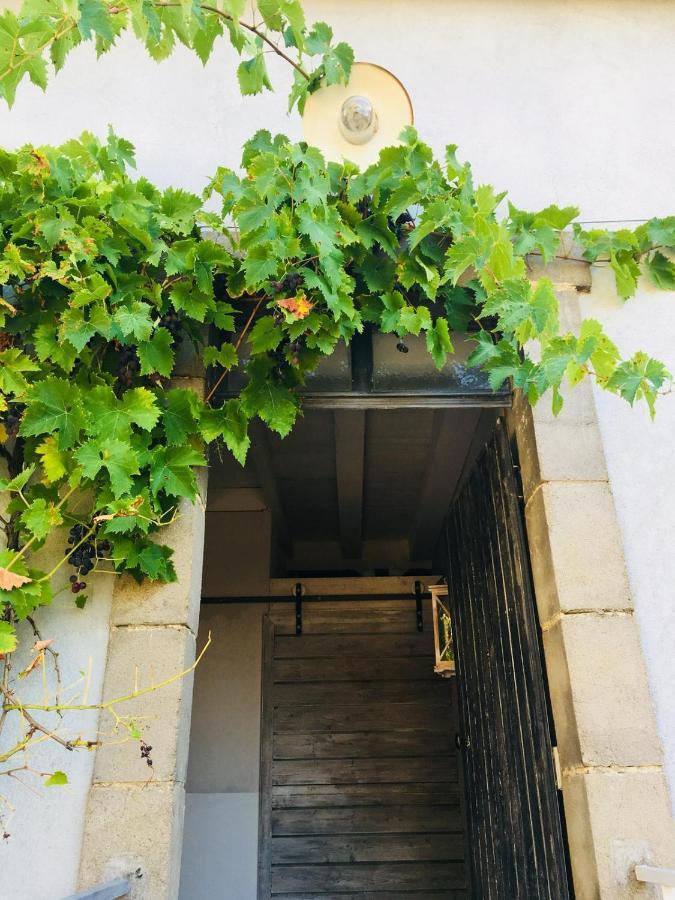 Chambre d'hôte équestre Au petit bonheur Chateldon Exterior foto